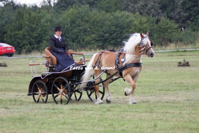 Susanne Groß mit Allegro beim Dressurfahren