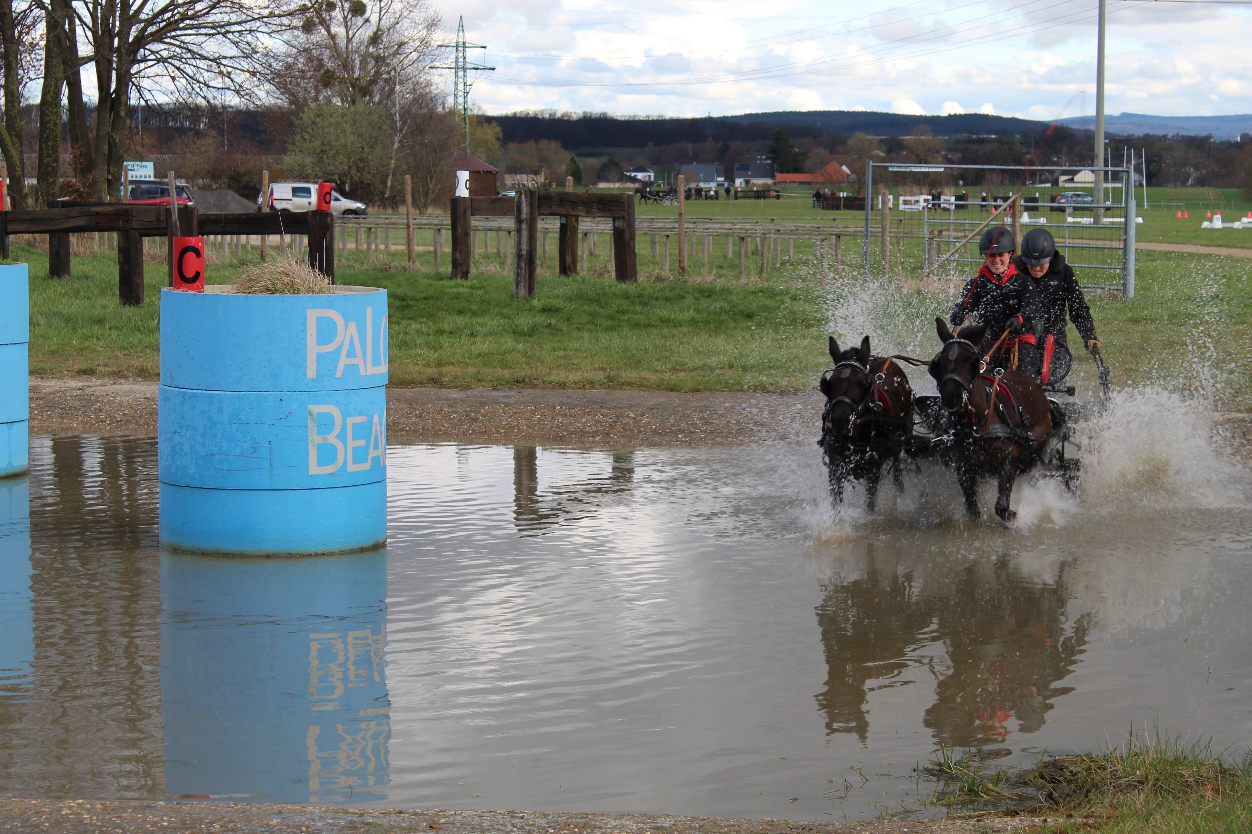 Hindernis- und Gel&auml;ndetraining beim Fahrverein St. Medardus