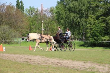 Kreismeisterschaft 2023